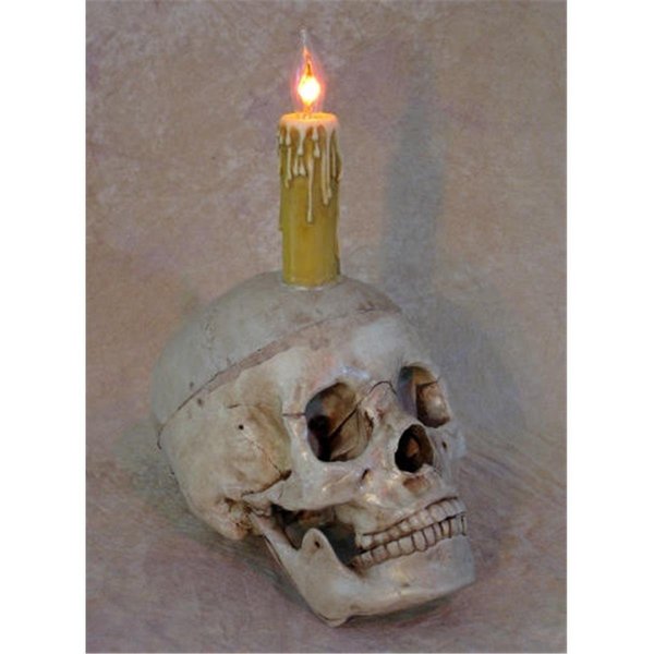 Perfectpretend Skull Display with deluxe Candle PE1413035